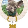 Hallmark Keepsake Christmas Ornament, Furry Friend 2025 Photo Frame, Pet Gifts(2025 Faithful Friend)