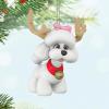 Hallmark Keepsake Christmas Ornament, Reindoggie, Gifts for Dog Lovers(Reindoggie)