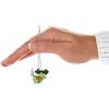 Hallmark Keepsake Mini Christmas Ornament (Beach Day Buddy) 0.75″ Tiny Ornament for Tabletop Tree(Beach Day Buddy)