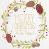 Hallmark Pack of Peanuts Christmas Cards, Ice Skating (10 Cards with Envelopes)(Rustic Wreath  6 Cards with Envelopes)