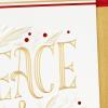 Hallmark Signature Christmas Card (Fun Surprises Santa Claus with Gift)(Peace & Hope)