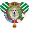 2022 Top Dog