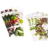 Wreath and Berries