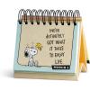 DaySpring Peanuts 365-Day Perpetual Calendar (A Year’s Worth of Smiles and Blessings) Snoopy and Woodstock, Religious Gift, Inspirational Desktop Accessory
