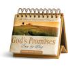 DaySpring 365-Day Perpetual Calendar (God’s Promises Day by Day) Religious Gift, Inspirational Desktop Accessory