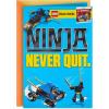 Ninjago Mini Thunder Raider Building Kit  Ages 7 and Up