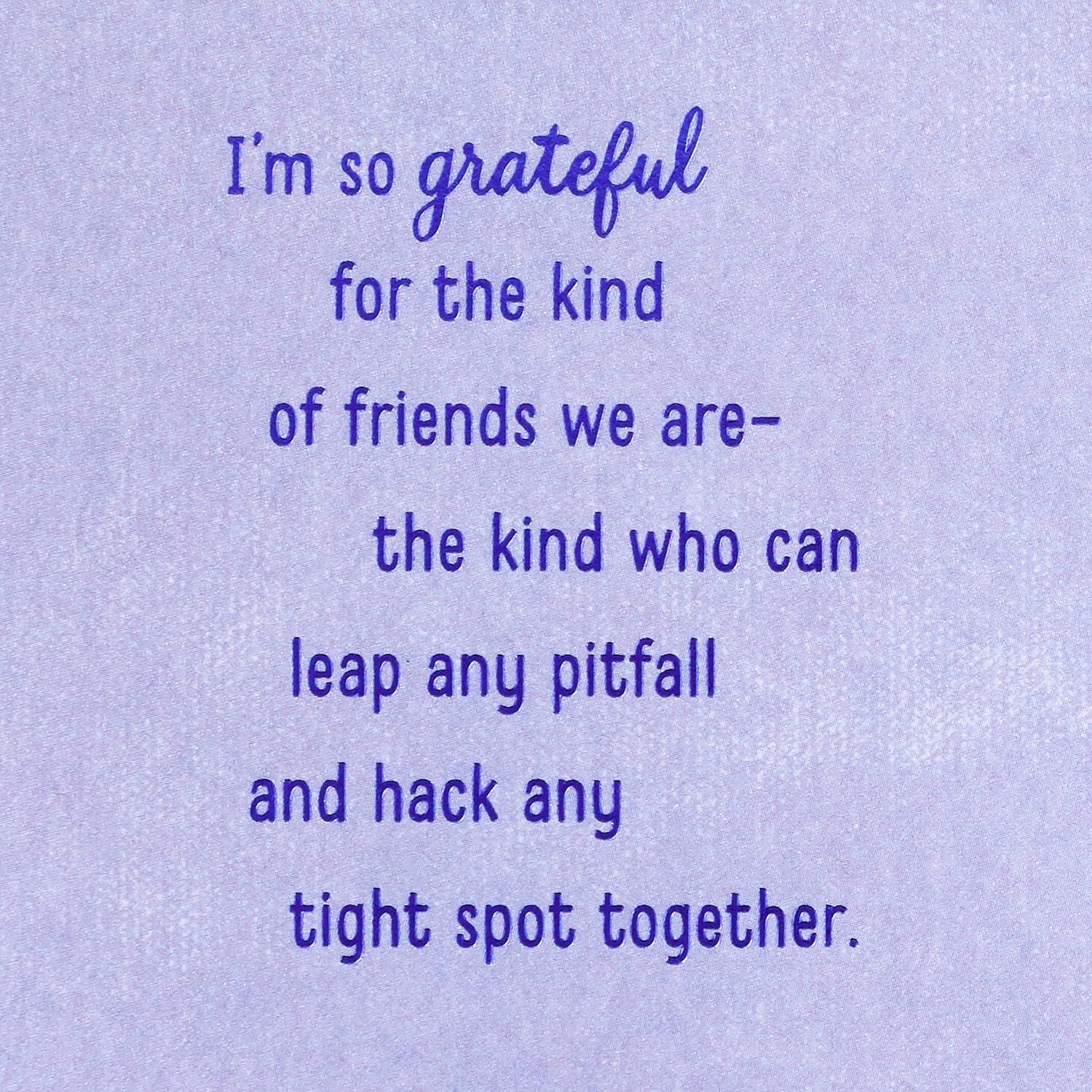 image:imageHallmark Birthday Card for Friend Friend of My HeartThe Kind of Friends We Are