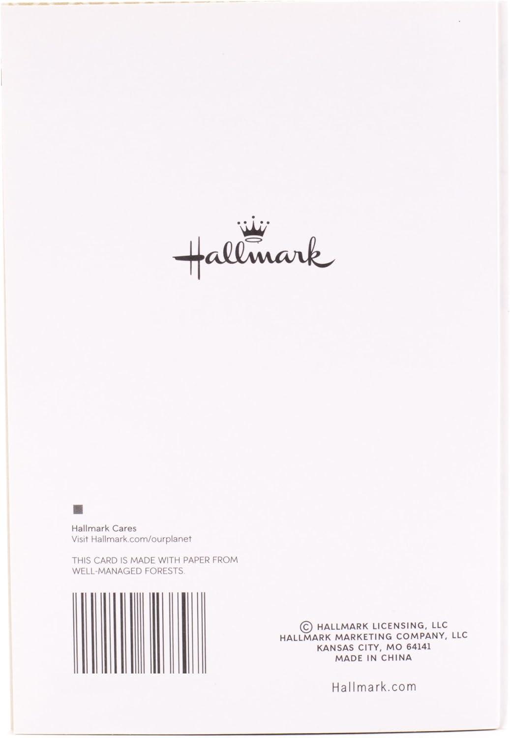 image:imageHallmark Congratulations Card or Graduation Card Celebrating YouYou Did It