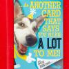Hallmark Birthday Card (Card Inside a Card)(Orange)