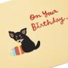 Hallmark Pop Up Birthday Card (Cat and Friend with Birthday Cake)(Chihuahua with Present)