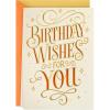 Birthday Wishes