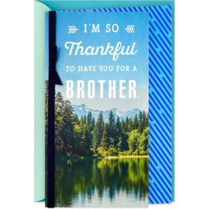Hallmark Birthday Card for Brother (So Thankful)