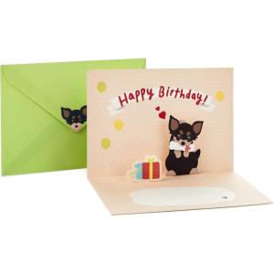 Hallmark Pop Up Birthday Card (Cat and Friend with Birthday Cake)(Chihuahua with Present)