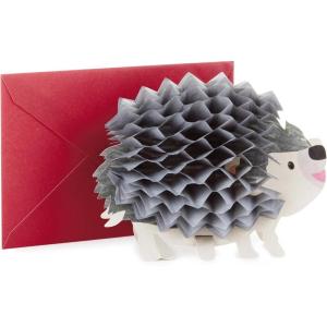 Hallmark Pop Up Birthday Greeting Card (Honeycomb Hedgehog) (599RZQ1002)(Honeycomb Hedgehog)