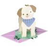 Pawsitively Wonderful Day