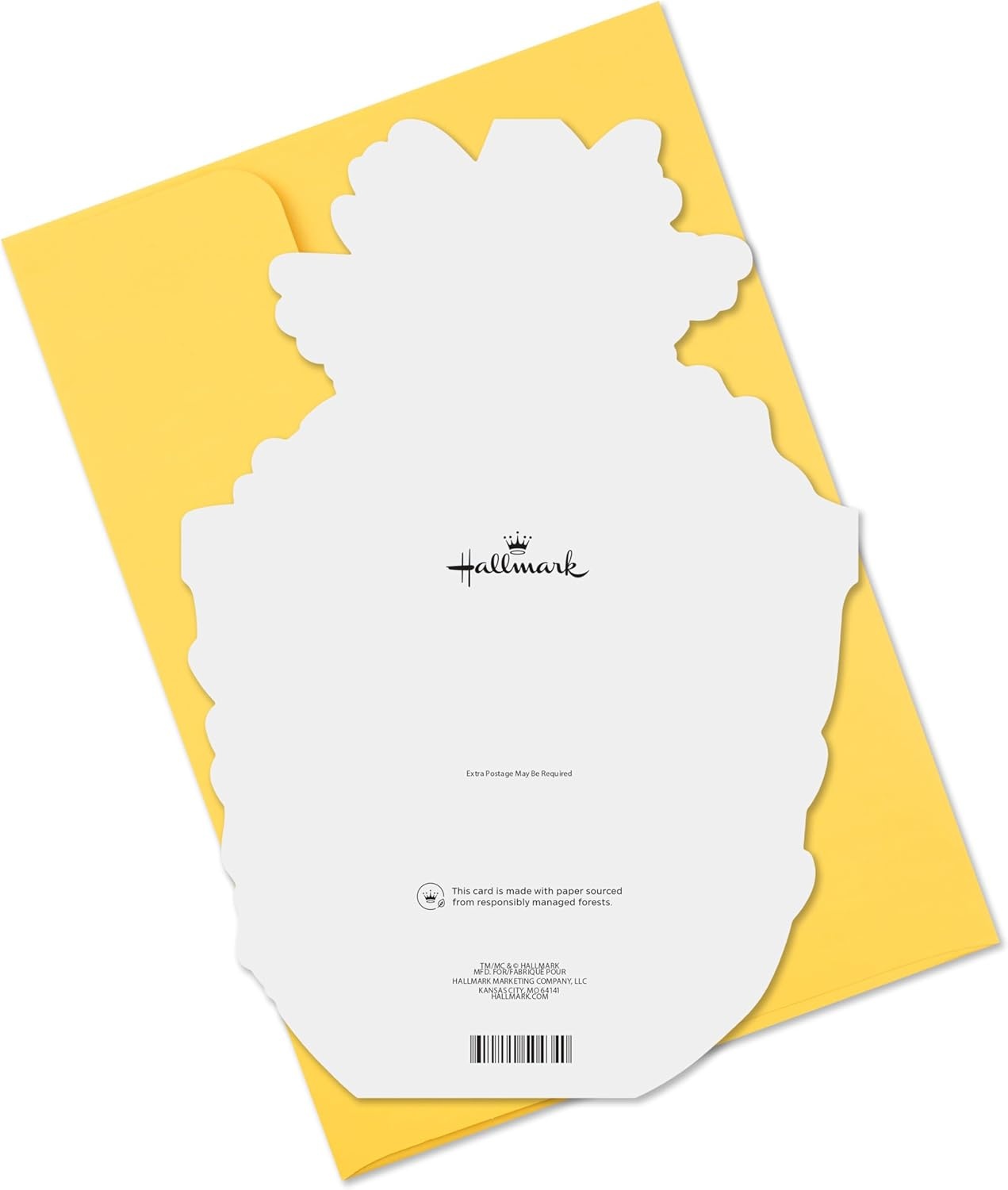 image:imageHallmark Funny Birthday Card Pineapple Still Lookin Fine for Husband Wife Boyfriend Girlfriend
