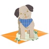 Hallmark Paper Craft Pop-Up Father’s Day Card (Pawsitively Amazing) Cute Puppy Dog with Removable Bandana(Pawsitively Amazing)